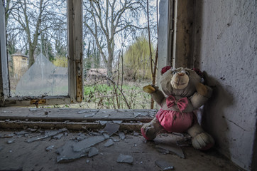 plueschbaer auf fenster