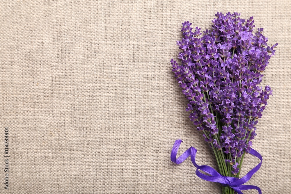 Wall mural Lavender.