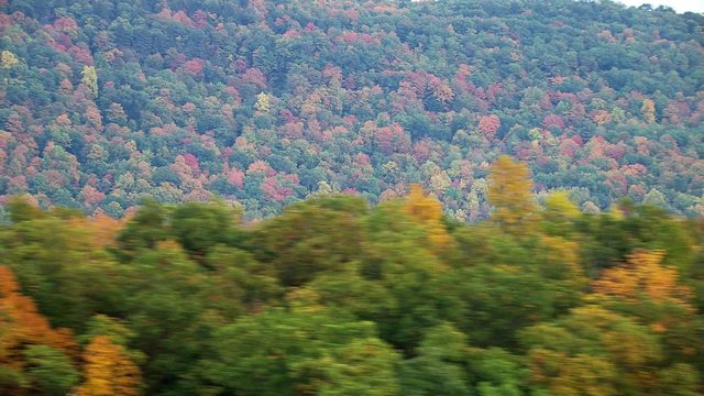 Flying over forested hills in fall colors