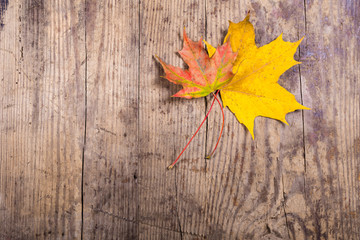 Naklejka na ściany i meble wooden background with autumn leaves