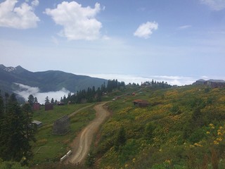 Fototapeta premium Georgia