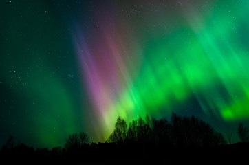 Beautiful photo of Northern Lights in Estonia sky - 114743373