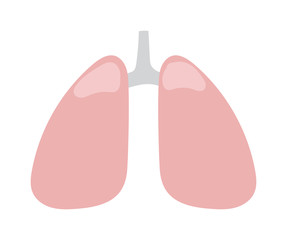 Human lung icon medical healthy chest sign body organ. Vector medical character lung icon breathe shape healthcare. Tracheal disease silhouette lung icon anatomical organ simple design.