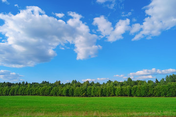 Summer landscape with sky, clouds, trees and grass