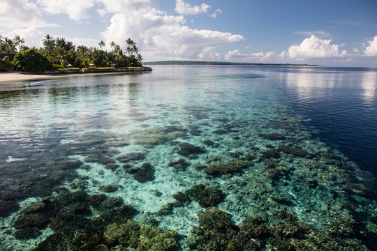 Shallow Coral Reef and Remote Island Near Sulawesi