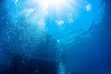 Sunlight into Underwater © divedog