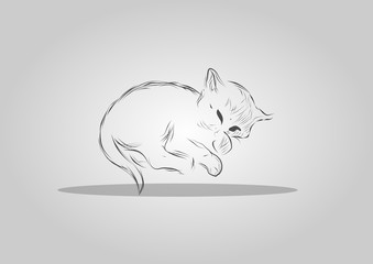 Vintage sleepy kitten sketch