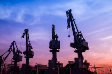 In the evening, the silhouette of port cranes