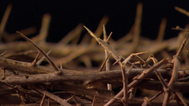 Close view of crown of thorns, rotating left