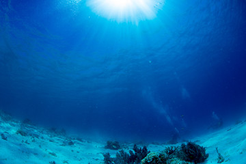Underwater Sunlight