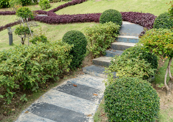 Concrete Pathway in garden