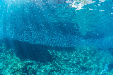 Cave diving in sunny day