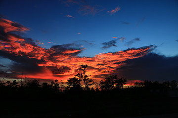 Sunset sky with tree in front background in Thailand
