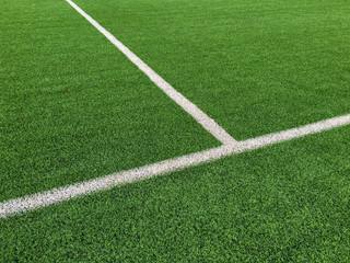 Obraz premium White line on grass green background