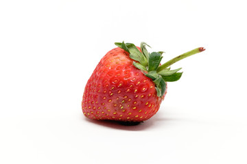 Red berry strawberry