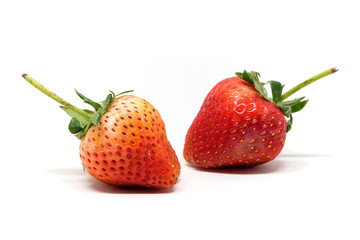 Red berry strawberry