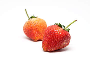 Red berry strawberry