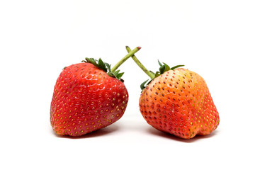 Red berry strawberry