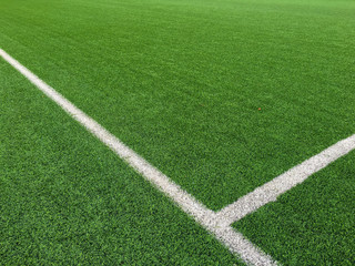 Fototapeta premium White line on grass green background