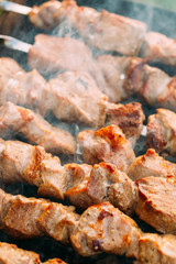 Grilled Barbecue Meat Shashlik Shish Kebab Pork Meat Grilling On