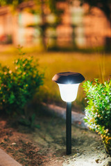 Small Solar Garden Light, Lantern In Flower Bed. Garden Design. 