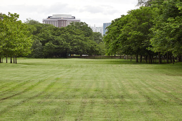 Obraz premium City park