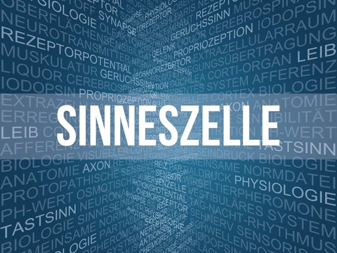 Sinneszelle