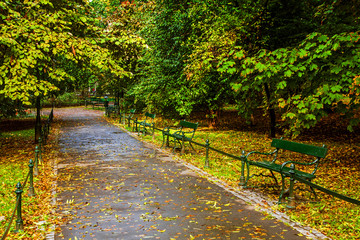 Bench in green park with path way
