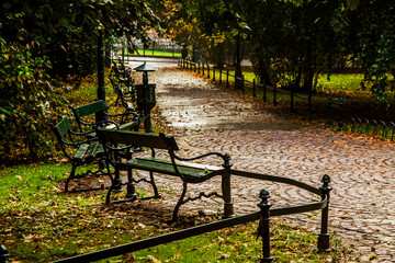 Fototapeta Bench in green park with path way obraz