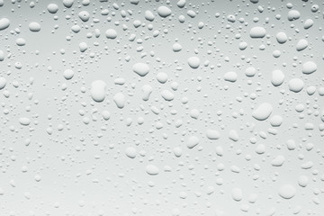 Water Drops./ Water Drops