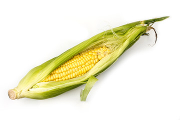 corn on a white background