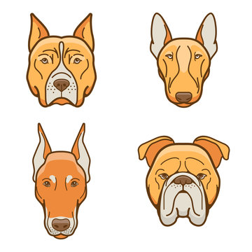 Dog faces of various breeds. Set 1