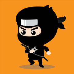 Ninja Character