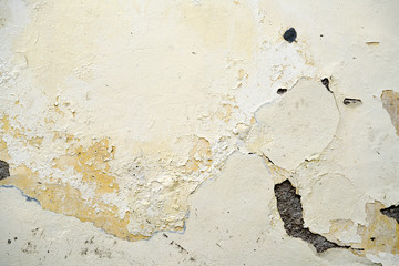 morbid white-yellow stucco wall