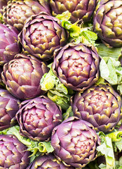 Obraz premium artichokes in bouquet at the local market