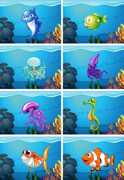 Underwater scenes with sea animals