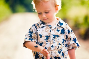 Little boy playing with big beetle