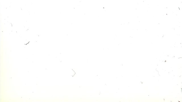 Lint on white motion picture film