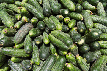 Top view of many cucumbers at the market