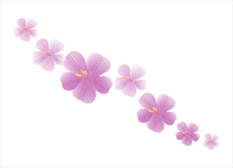 Flowers background. Flowers design. Vector abstract illustration. Light-Pink Sakura blossoms background. Vector. 