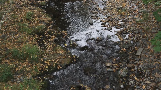 A shallow brook flowing between leaf-littered banks over a pebbly bed