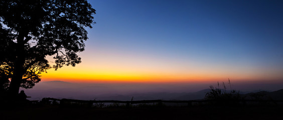 Fototapeta na wymiar A big tree silhouetted with stunning sunset, panorama view