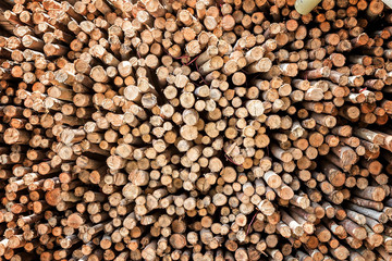 Dry chopped firewood logs in a pile