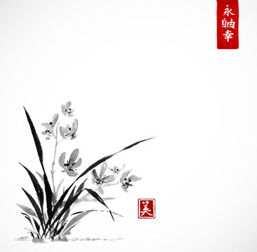 Wild orchid on meadow. Traditional Japanese ink painting sumi-e on white background. Contains hieroglyphs - eternity, freedom, happiness, beauty