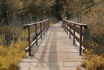 Brücke am Deininger Weiher, herbstlich