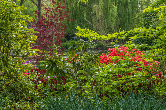 Springtime garden in Giverny France has an abundance of beautiful flowers