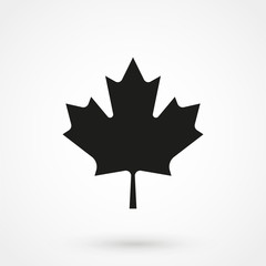 maple leaf icon