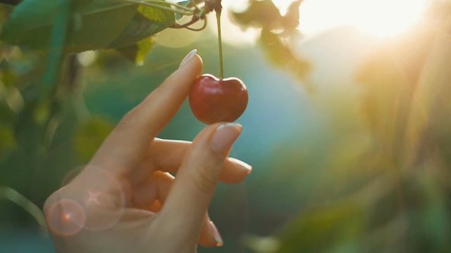 Woman showing cherry