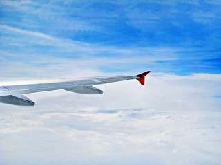 Wing of airplane