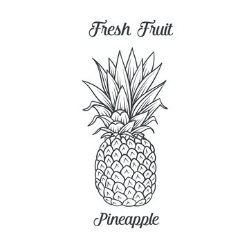 Hand drawn pineapple icon
